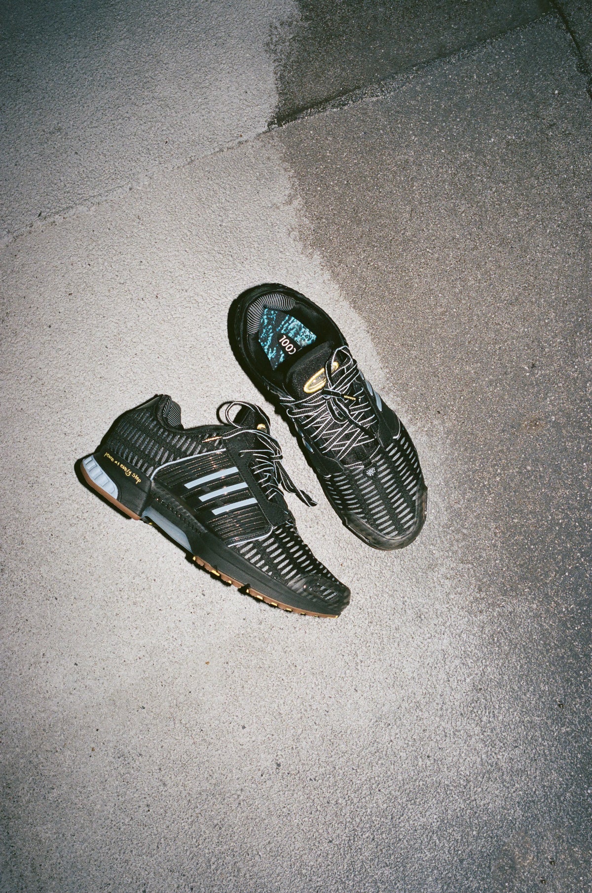 x ADWYSD Climacool 1
