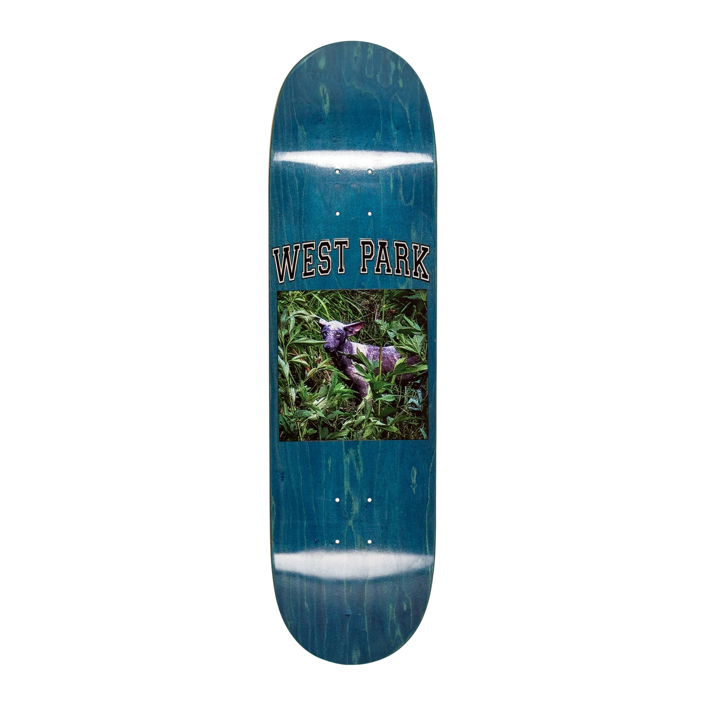 Aaron West Park Deck