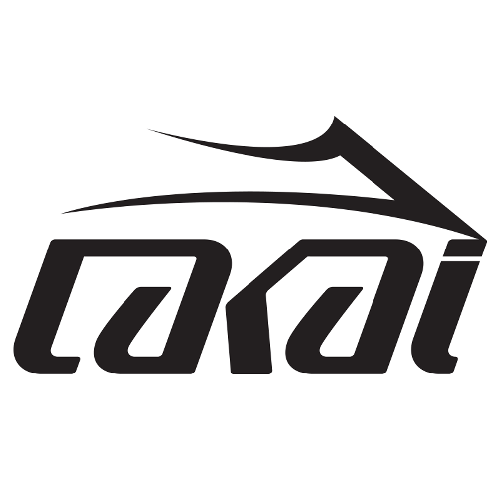 Lakai Skate Shoes
