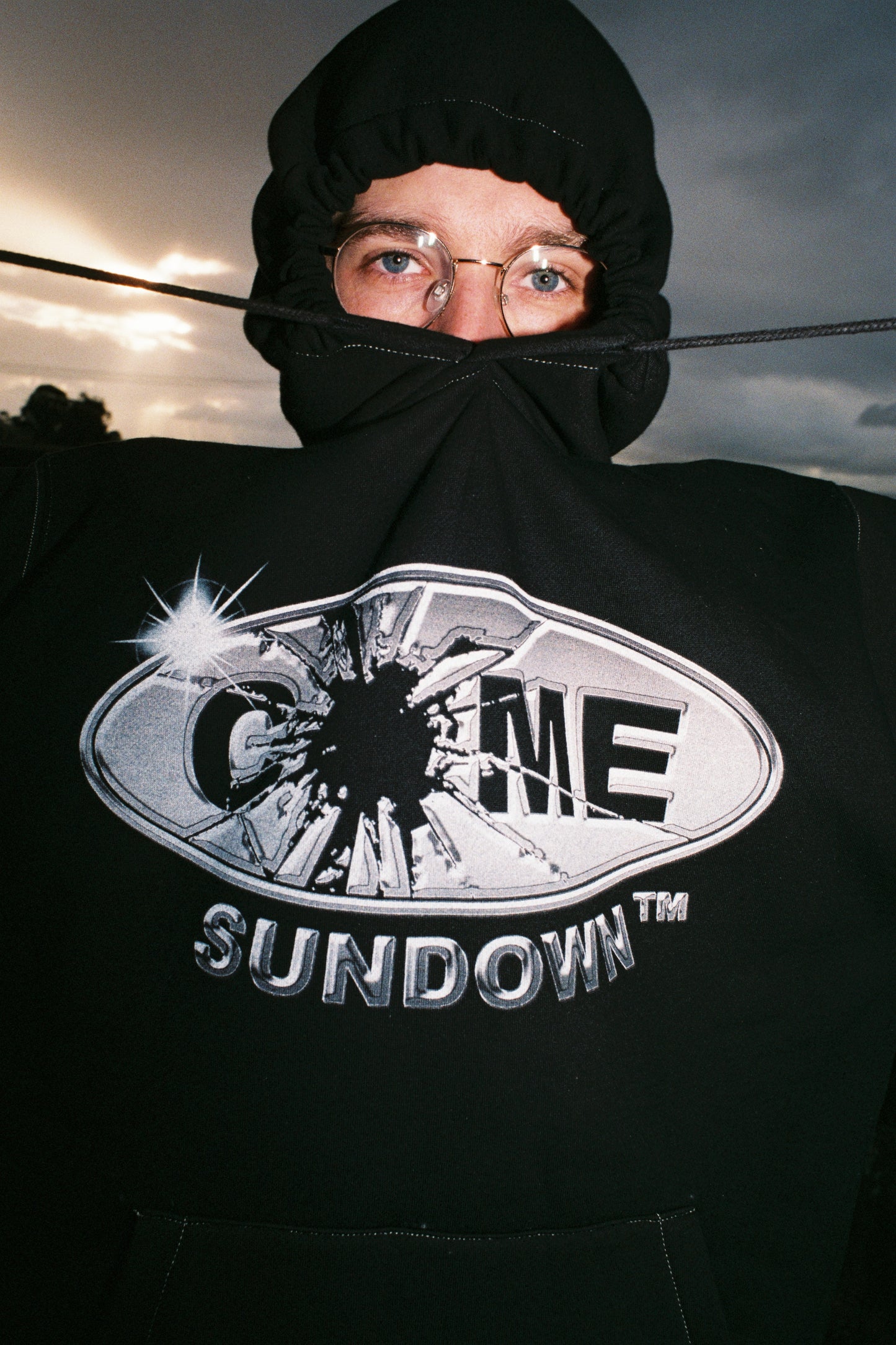 Metallic Taste Hoodie