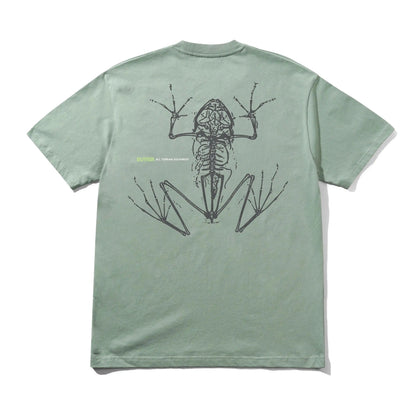 Dull Mint