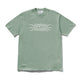Dull Mint