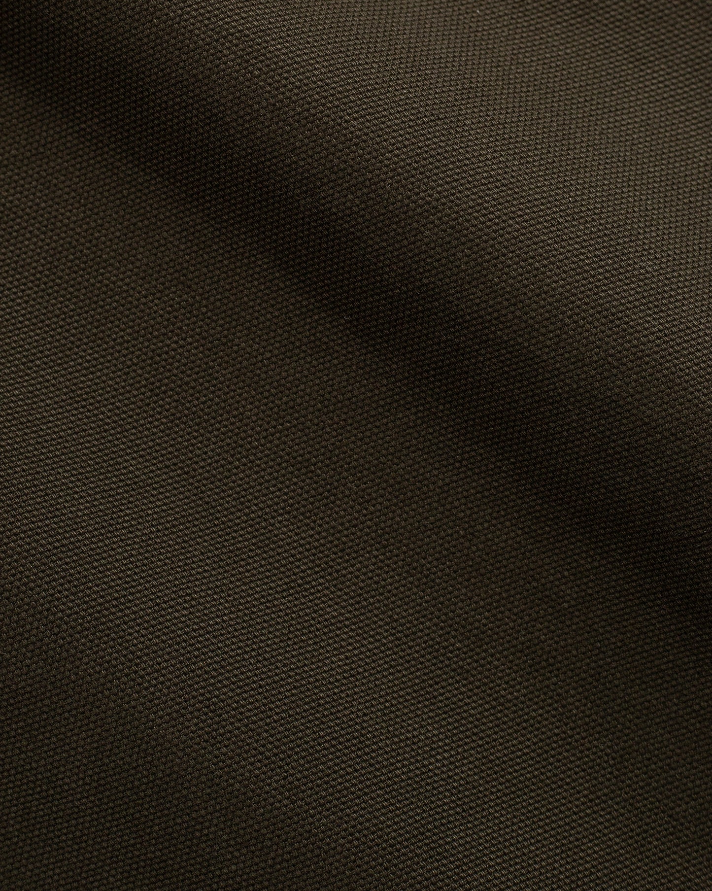 345 Carpenter Pants