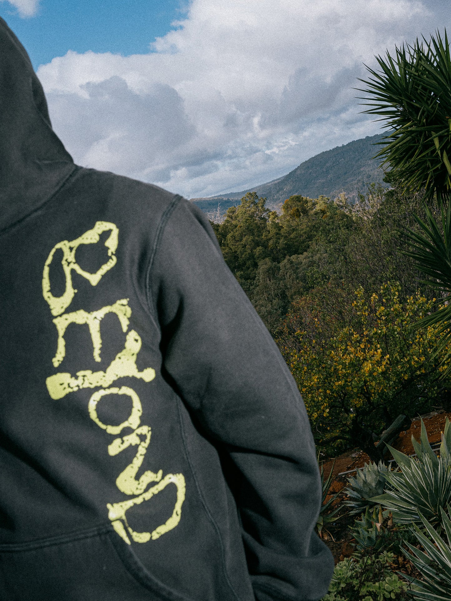 Freedom Hoodie