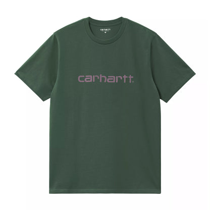 Sycamore Tree / Phlox