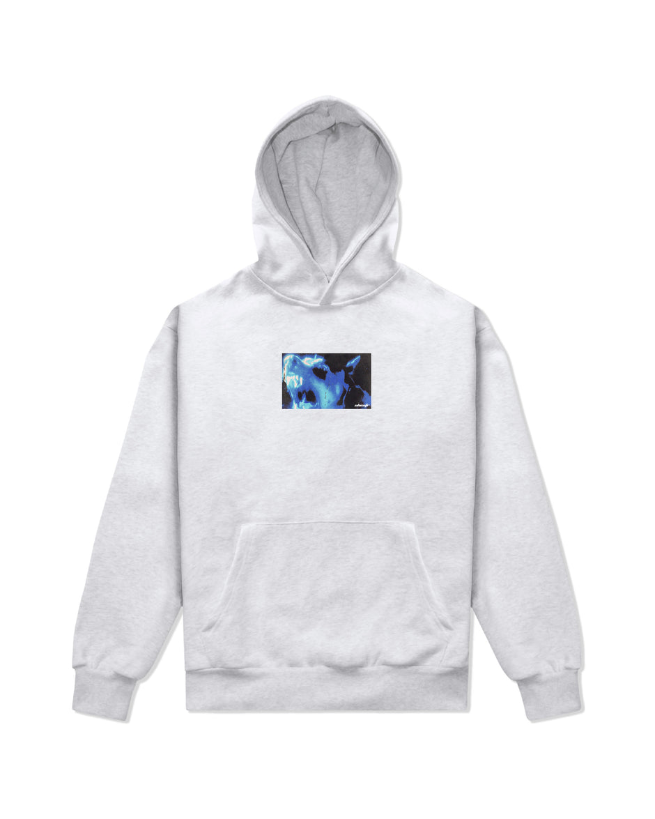 Dog Hoodie