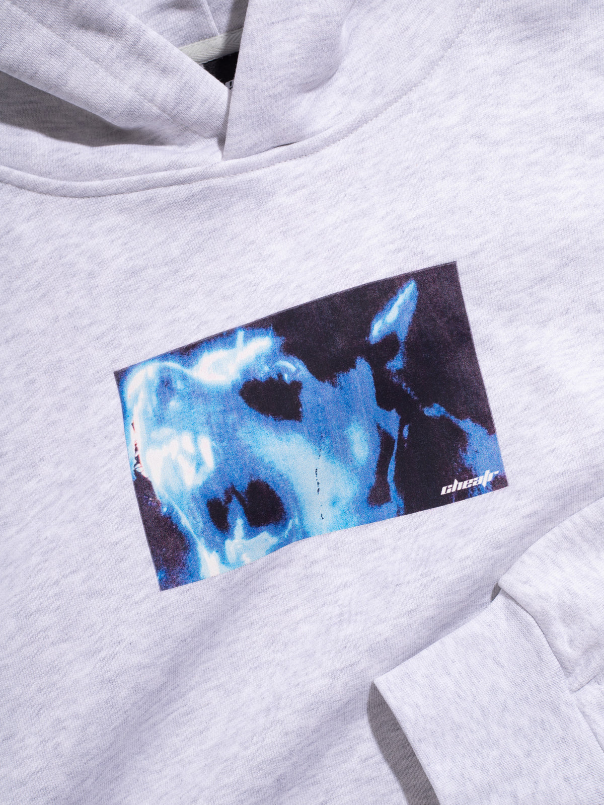 Dog Hoodie