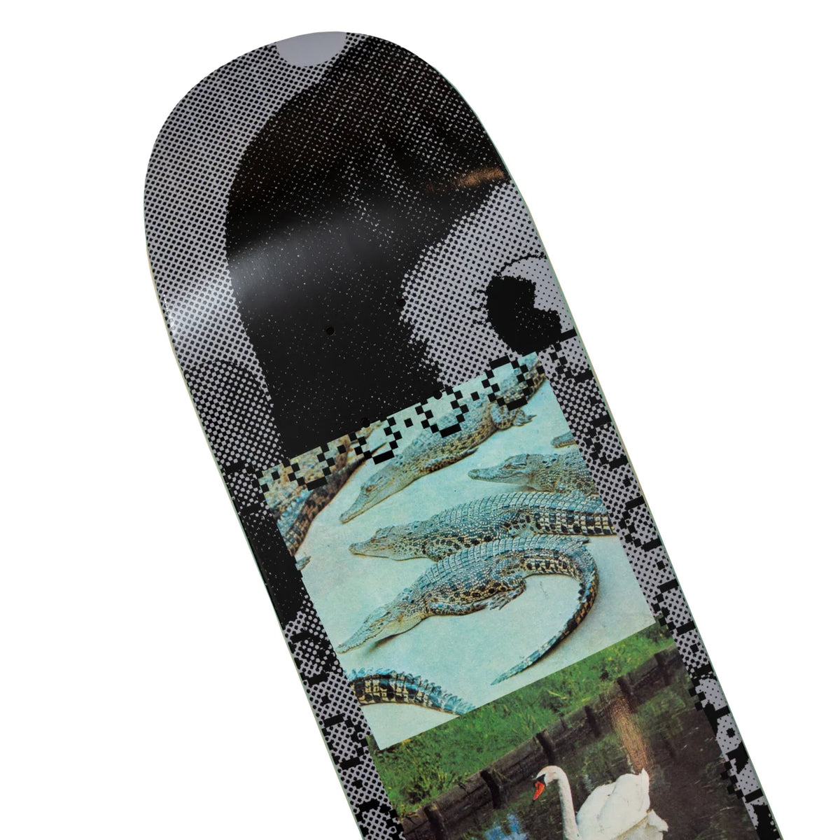 Simon Zuzic Swans Deck