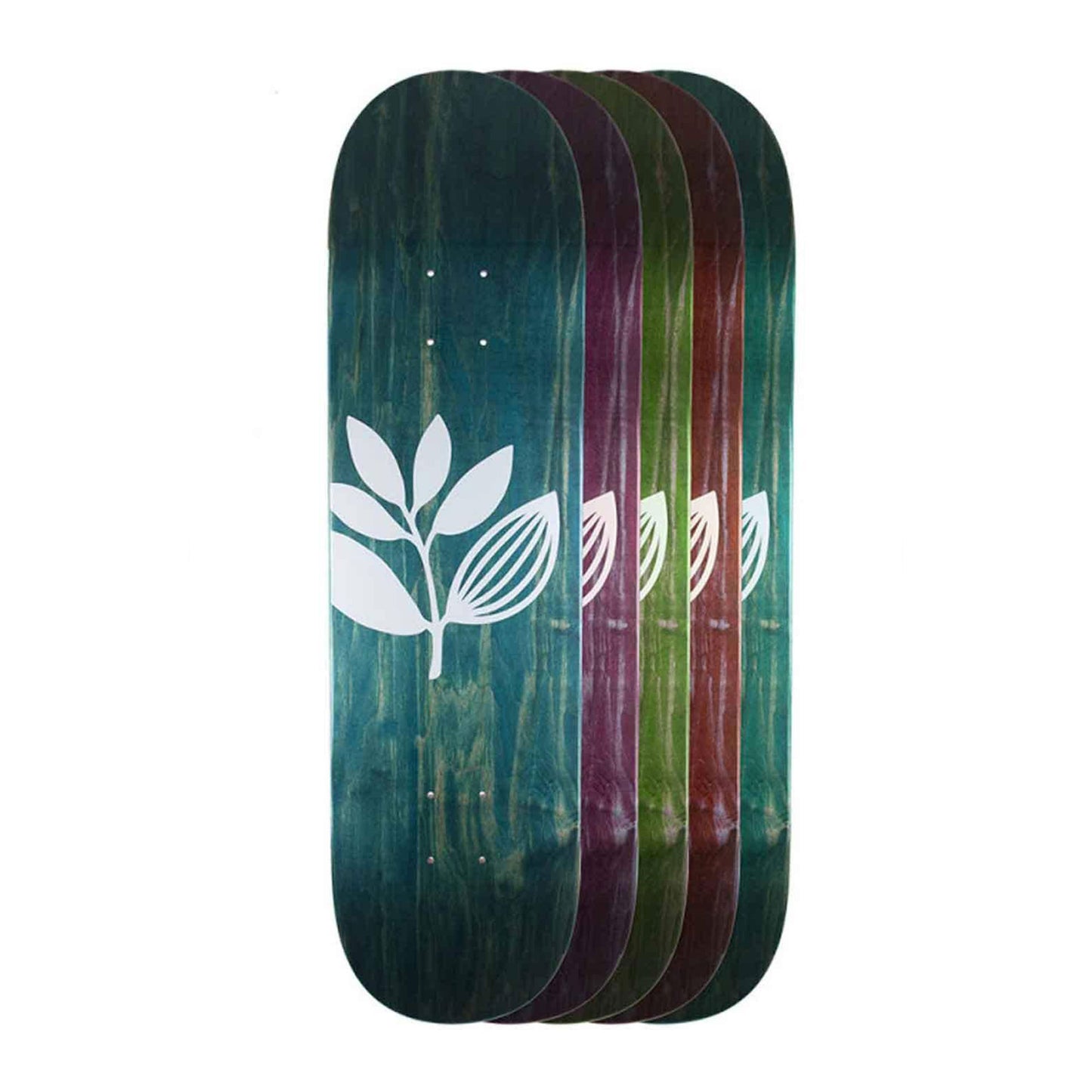 Big Plant Deck