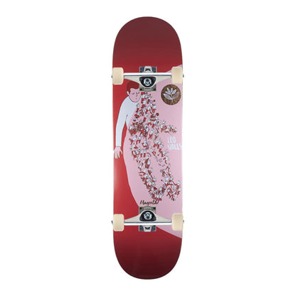 Extravison Valls Pro Complete