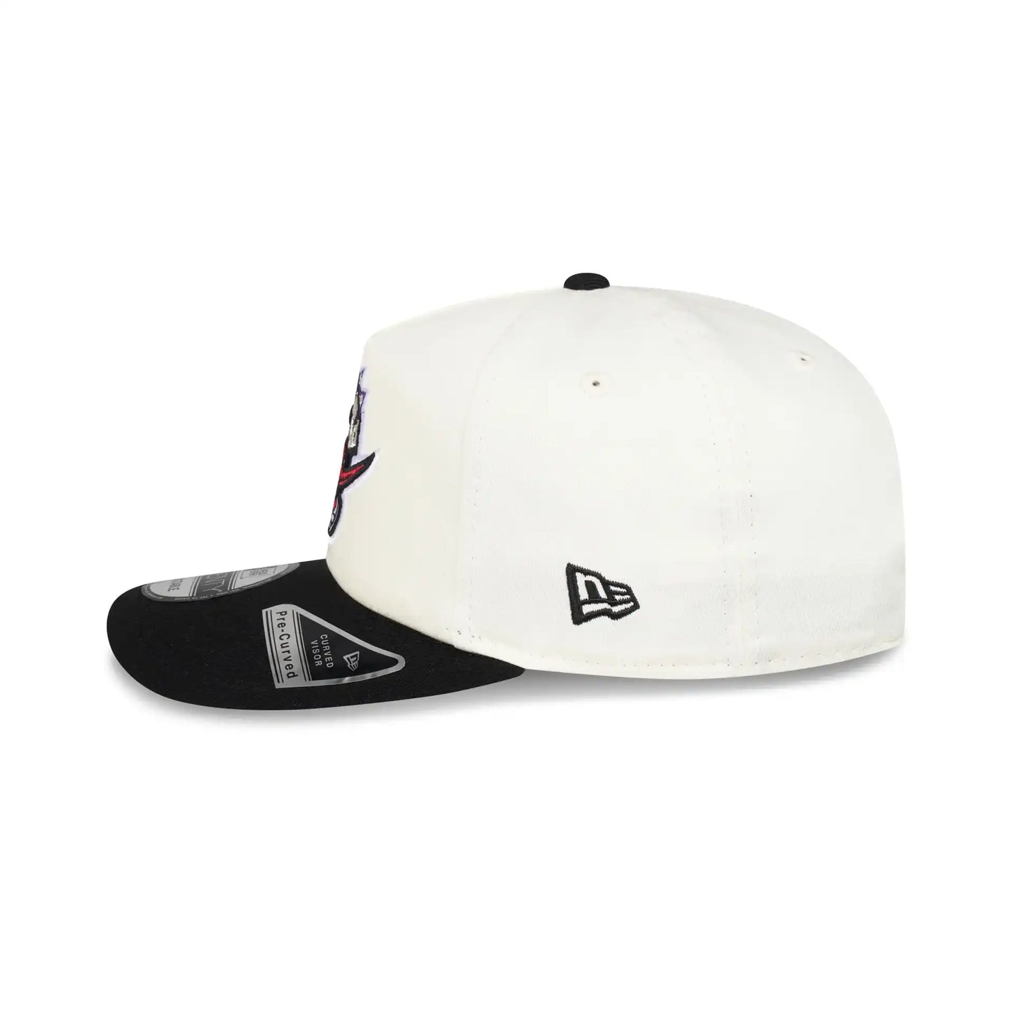 19TWENTY Toronto Raptors 2 Tone Cap