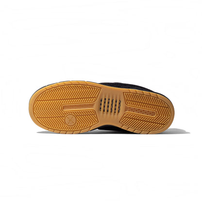 Paul Rodriguez Zoom Air Low